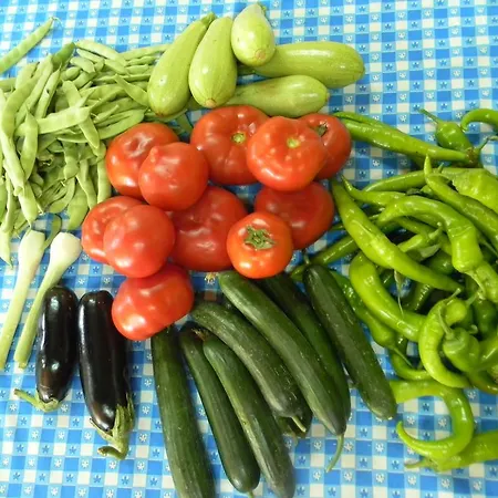 Armina * Çıralı